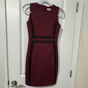 Calvin Klein Wine Sheath Mini Dress with Black Paneling